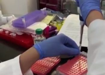 CREAN ANTICUERPOS QUE COMBATEN VARIANTES DE COVID-19