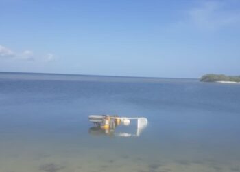 REPORTAN EL PRIMER FEMINICIDIO DE LA HISTORIA DE HOLBOX