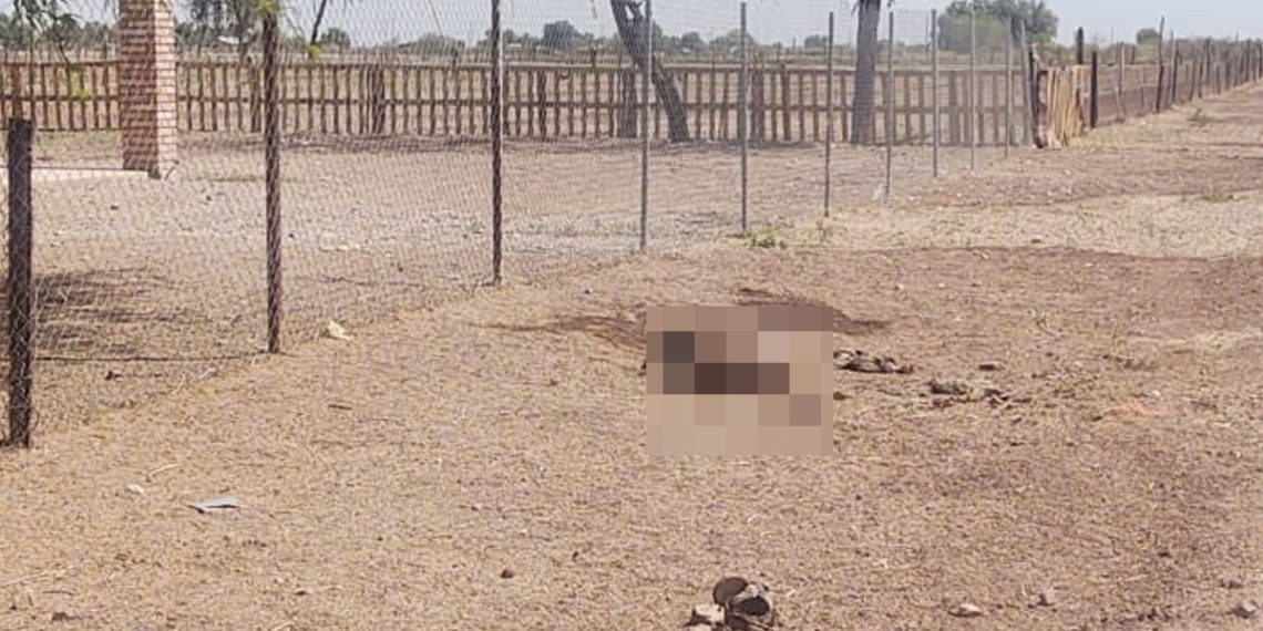 HALLAN CADáVER EN RANCHO; LO HABRíAN DEVORADO ANIMALES