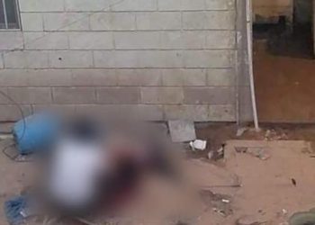 IMPUTAN POR MALTRATO ANIMAL A SUJETO QUE DESTAZó PERRO