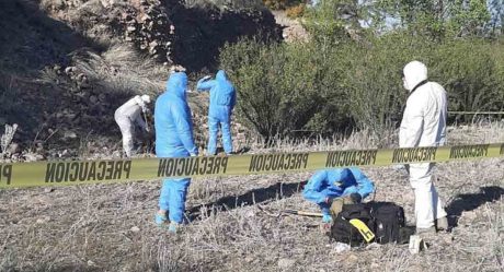 Hallan muerta a exfuncionaria del Ayuntamiento de Nogales