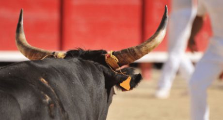 Inician las corridas de toros en Tijuana