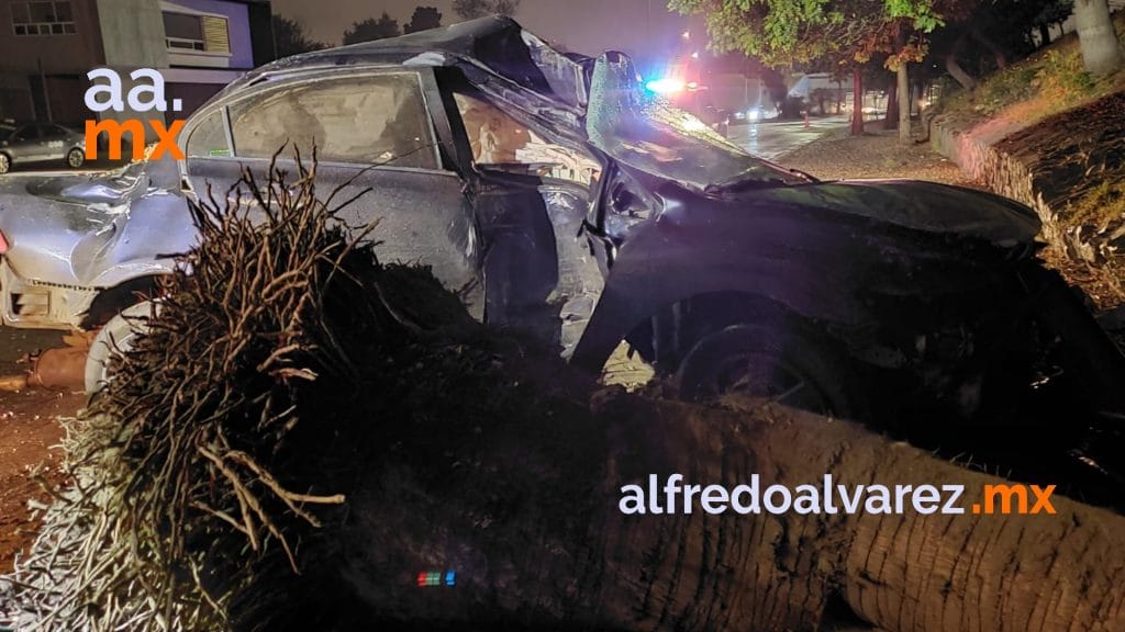 choca-con-una-palmera-y-vuelca