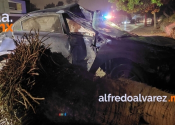 CHOCA CON UNA PALMERA Y VUELCA