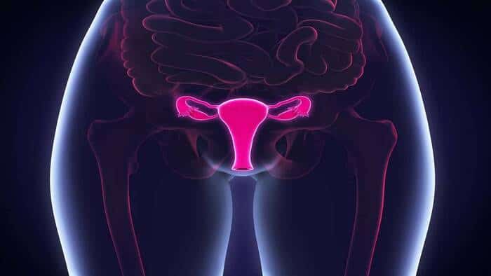 lista-de-factores-de-riesgo-para-desarrollar-cancer-cervico-uterino
