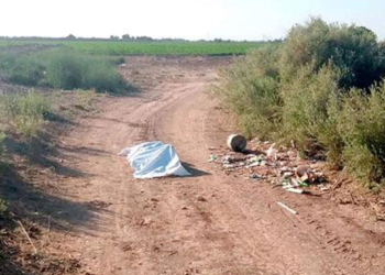 ENCUENTRAN CALCINADO EN MATORRALES