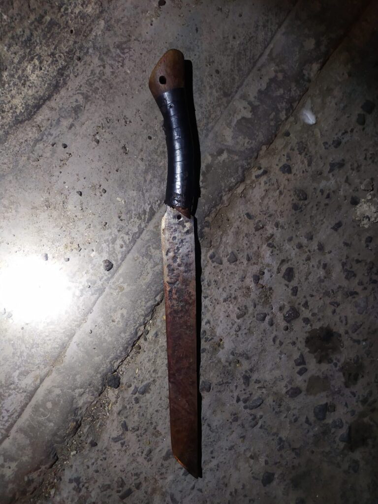 MATA A SU HERMANASTRO CON MACHETE