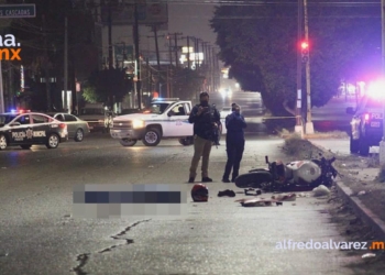 FALLECE MOTOCICLISTA TRAS IMPACTARSE CONTRA PALMERA