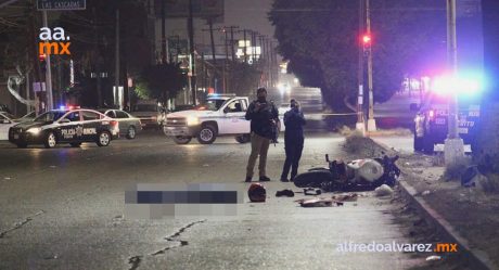 Fallece motociclista tras impactarse contra palmera