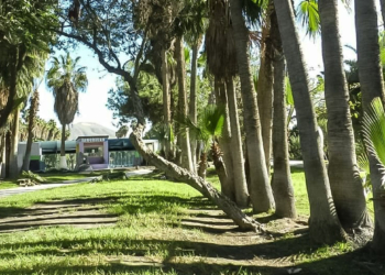 ALBERGA TIJUANA 209 PARQUES ATENDIDOS DE MANERA CONTINUA