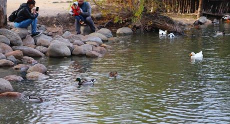 SIMPATT informa resultados del agua del Parque de la Amistad