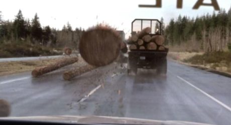 VIDEO: muestra cuando un tronco atraviesa el parabrisas de una patrulla