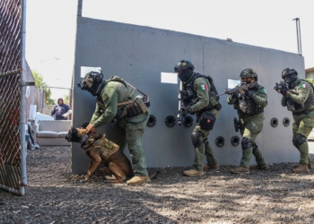 K-9 EL COMPLEMENTO DE LOS OFICIALES DE POLICíA