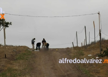 ASESINAN A 9 EN MENOS DE 24 HORAS