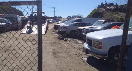 Ayuntamiento inspecciona corralón irregular en Torres del Matamoros