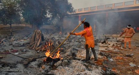 Piden árboles de parques para incinerar a muertos por Covid-19