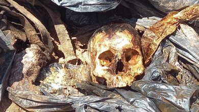 Seis cuerpos localizados al sur de Hermosillo, en fosa clandestina