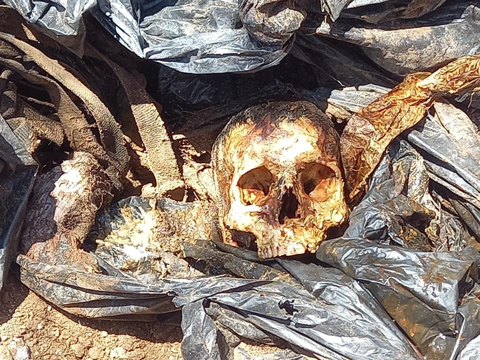 Seis cuerpos localizados al sur de Hermosillo, en fosa clandestina