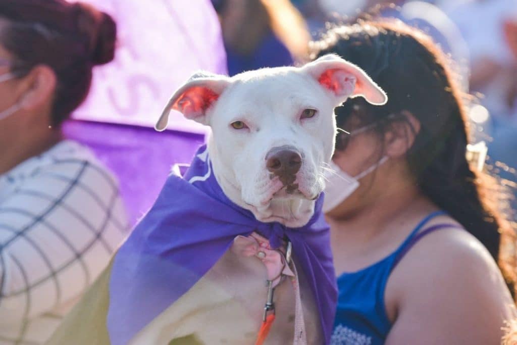 PES CIERRA CAMPAñA EN TECATE