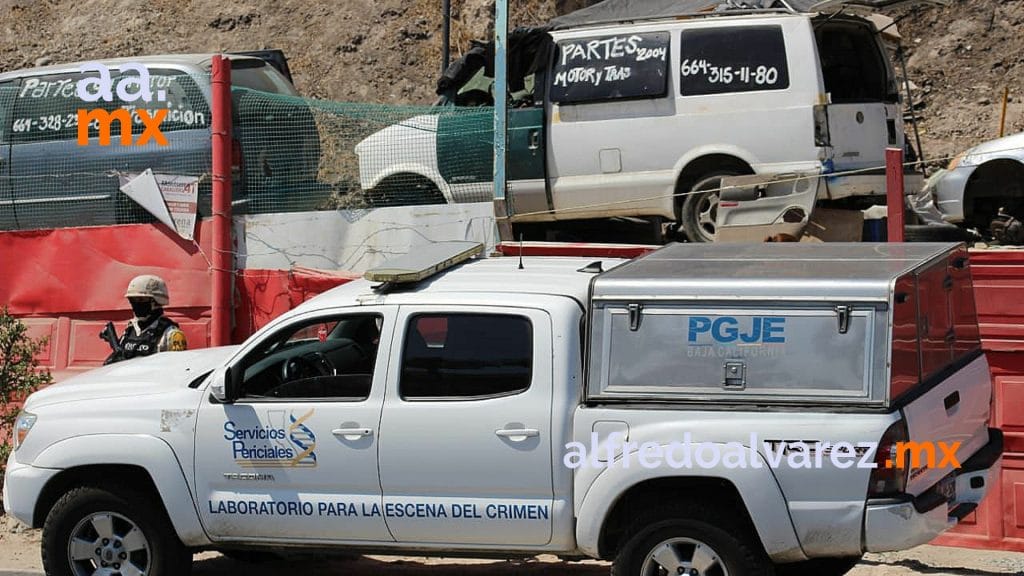 ASESINAN A 7 EN 8 HORAS; DOS CALCINADOS Y UNA PAREJA EN UN YONKE