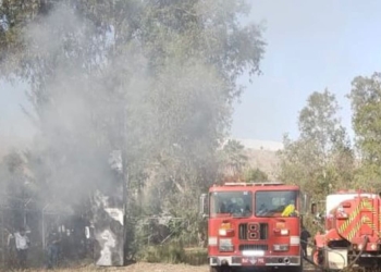 CONTROLA SIMPATT INCENDIO EN ZONA DE VIVERO DEL PARQUE MORELOS