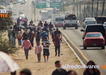 BAJA CALIFORNIA ALCANZA INMUNIDAD DE REBAñO