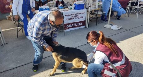 Secretaría de Salud invita a vacunar a mascotas contra la rabia