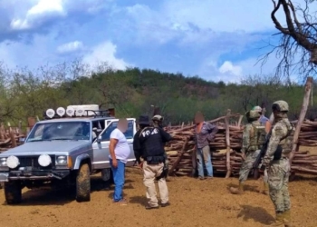 'PEINAN' BáCUM, BUSCANDO A DESAPARECIDOS