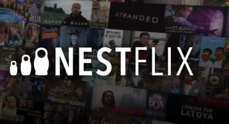 Nestflix, el 'primo incómodo' de Netflix