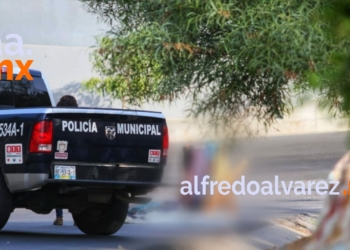 DEJAN CATRE CON CADáVER DESCUARTIZADO CERCA DE PARQUE