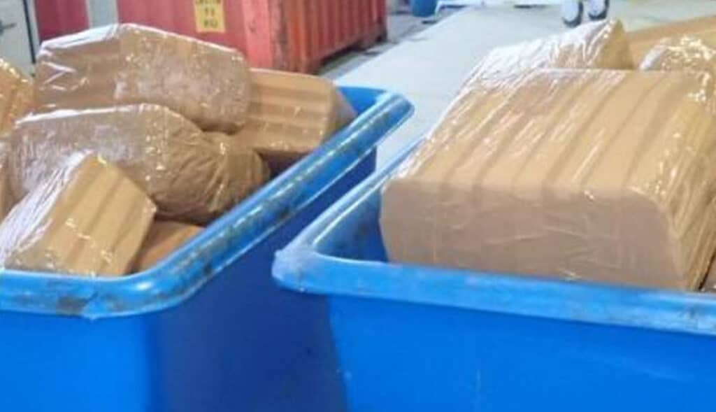 CONFISCAN MILLONARIO CARGAMENTO DE DROGA EN GARITA