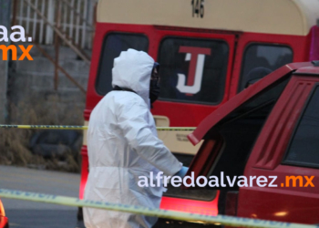 BALEAN A DOS A BORDO DE CAMIONETA