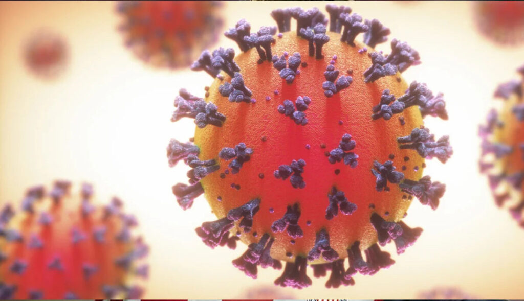 Científicos-descubren-virus-similar-a-Covid-19-en-murciélagos
