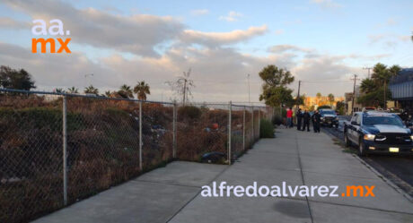 Liga de béisbol de Playas de Tijuana condena expropiación de campos