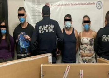 CAE PRESUNTA CéLULA CRIMINAL CON ARMAS, HAY MUJERES