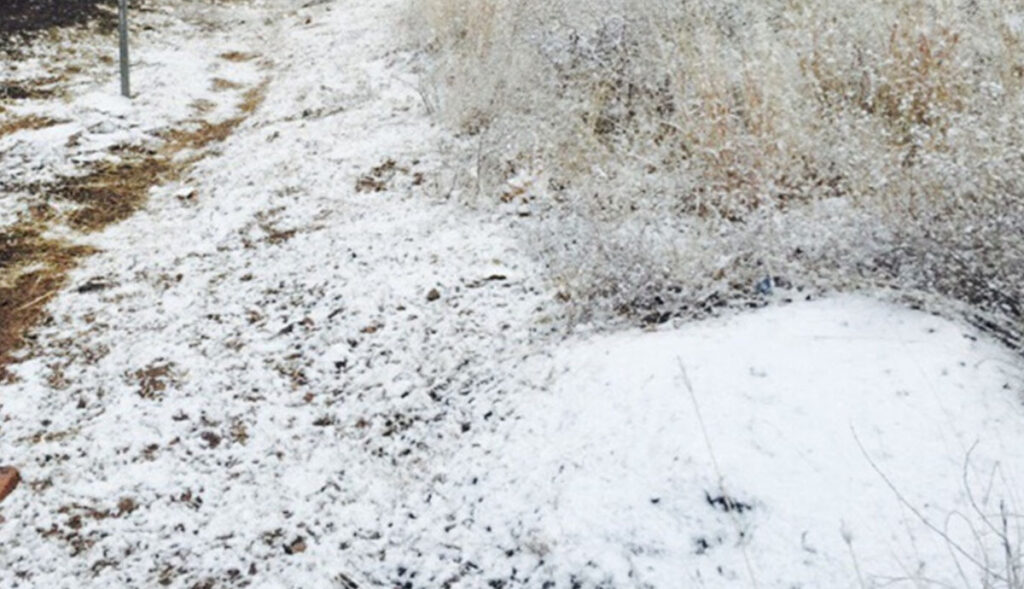 Empezó-el-frío-se-registra-primera-helada-de-la-temporada-en-Sonora