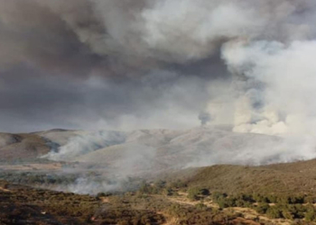 CONTROLAN MEGA INCENDIO FORESTAL EN ZONA TURíSTICA