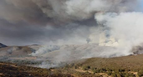 Controlan mega incendio forestal en zona turística