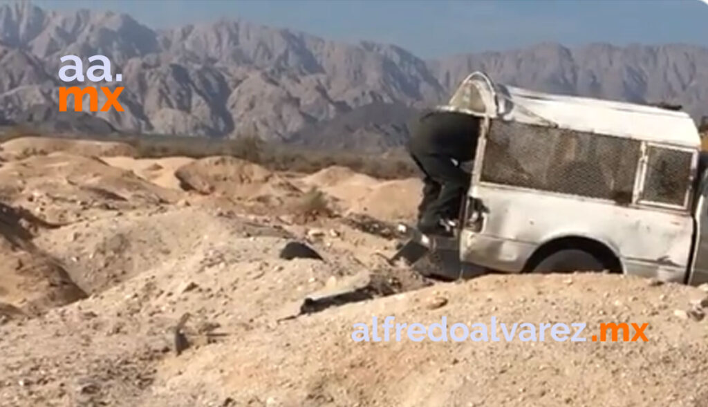 VIDEO-Perrera-municipal-tira-cadáveres-en-basurero