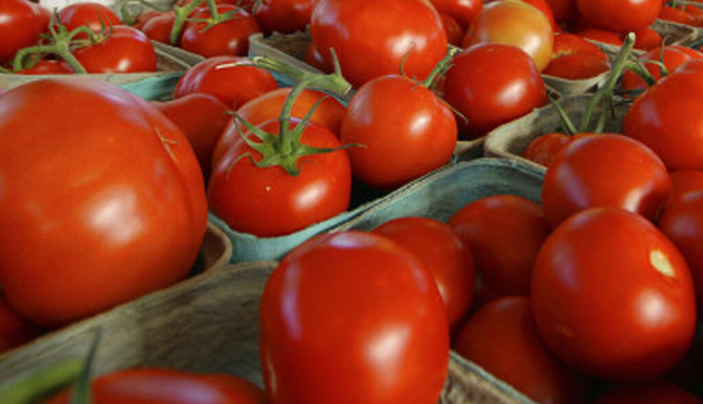 EU-suspende-importación-de-tomates-de-empresa-mexicana
