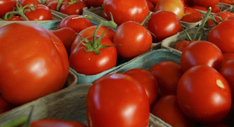 EU suspende importación de tomates de empresa mexicana