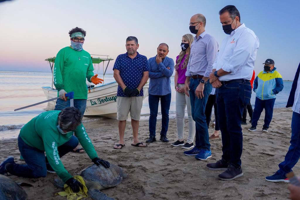 Liberan-tortugas-alcaldes-de-Hermosillo-y-San-Pedro-Garza