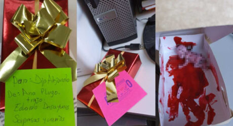 Envían 'regalos' con amenazas a diputados por despenalización del aborto
