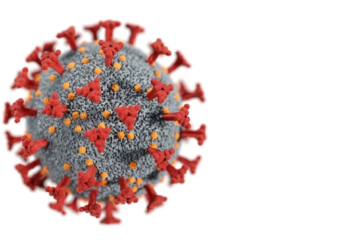 DETECTAN NUEVA VARIANTE DE COVID-19; DECENAS DE INFECTADOS