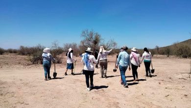 En-Guaymas-'Madres-Buscadoras-por-la-Paz'-ubican-ocho-cuerpos