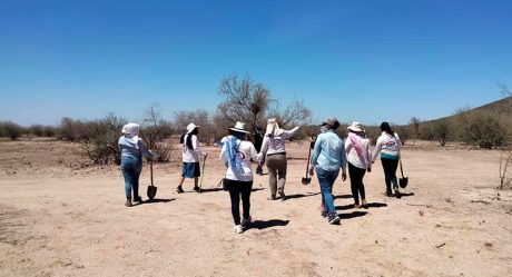 En Guaymas 'Madres Buscadoras por la Paz' ubican ocho cuerpos