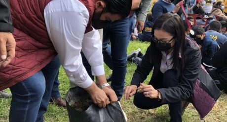 Plantan 100 árboles en Parque Morelos con “Sembrando Vida”