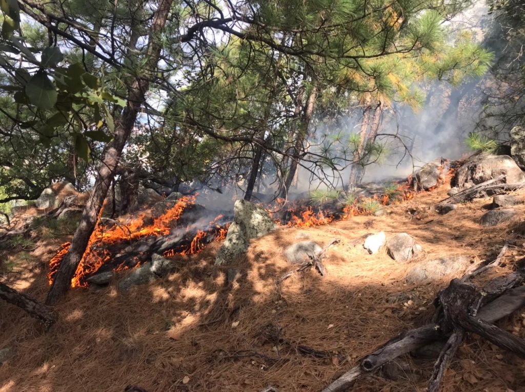 Combaten-incendio-forestal-en-la-sierra-alta-de-Aconchi
