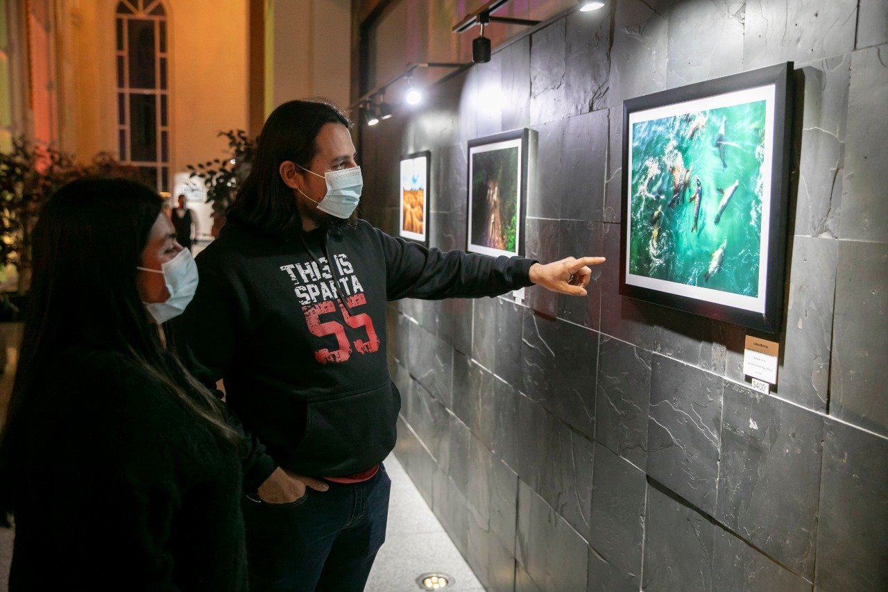 CALIENTE GALERíA PRESENTA CUATRO ARTISTAS MEXICANOS DE LA LENTE