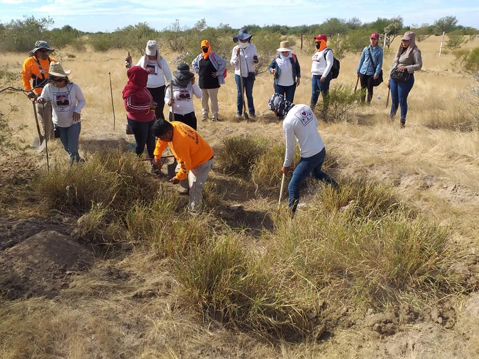 Buscan-identificar-restos-localizados-por-Madres-Buscadoras